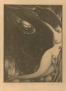 Visualizza l'immagine "Mod. m. 27-2"